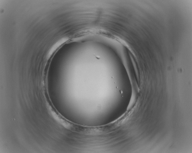 X0000076431042200610202240