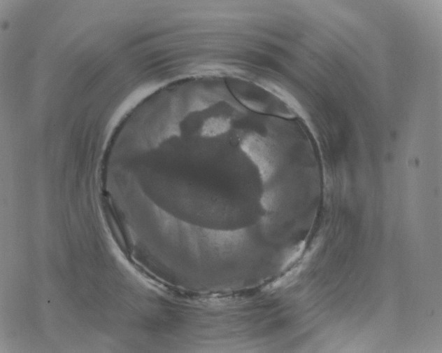 X0000076431045200610202240