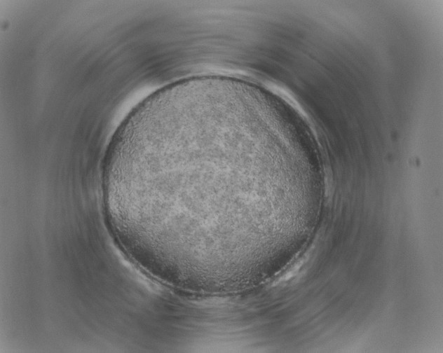 X0000076431048200610202240