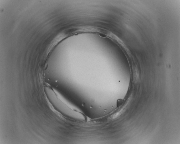 X0000076431049200610202240