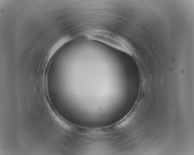 X0000076431050200610202240