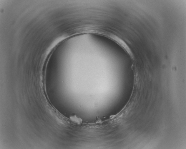 X0000076431051200610202240