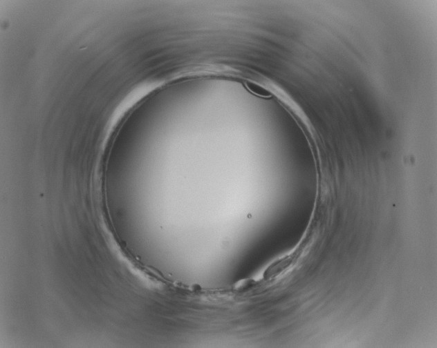 X0000076431053200610202240