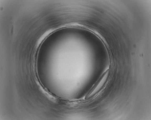 X0000076431054200610202240