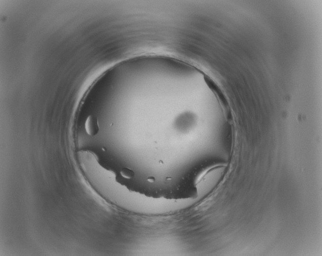 X0000076431056200610202240