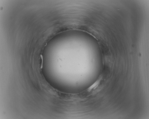 X0000076431057200610202239