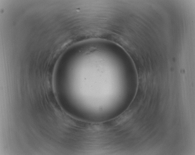 X0000076431058200610202239