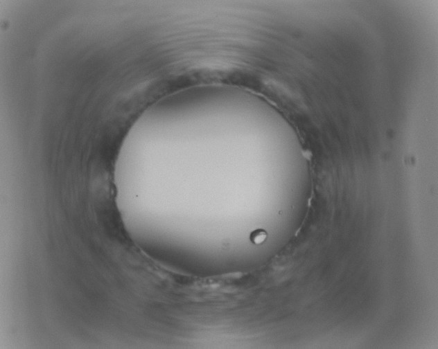 X0000076431061200610202239