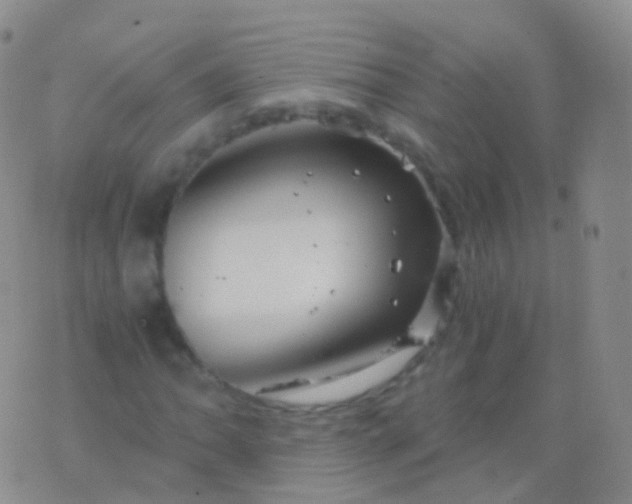 X0000076431062200610202239