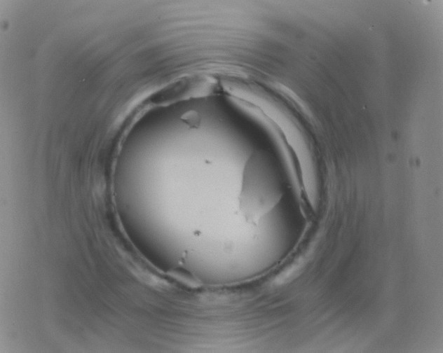 X0000076431065200610202239