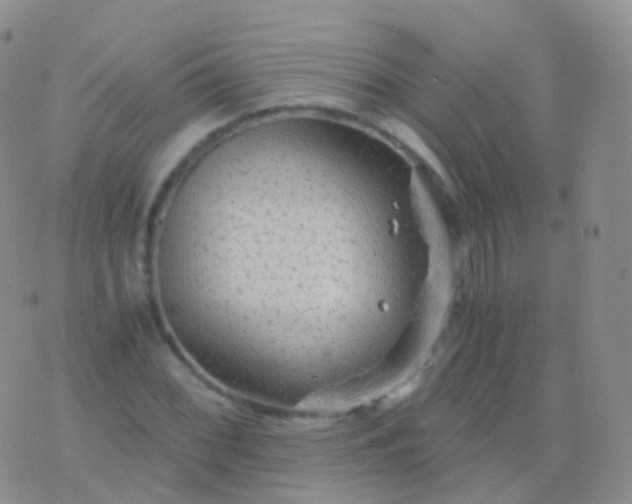 X0000076431068200610202239