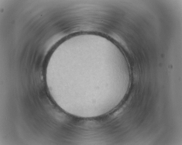 X0000076431070200610202239