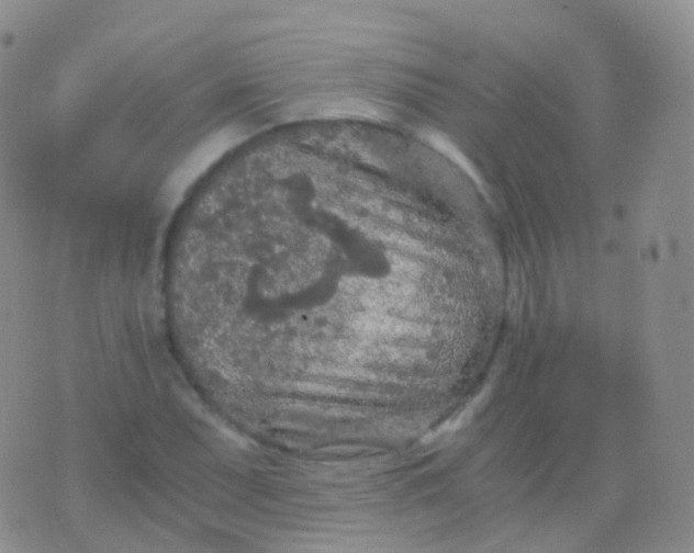 X0000076431071200610202239