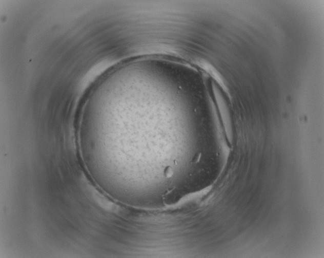 X0000076431072200610202239