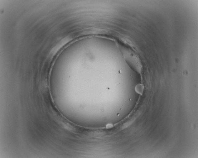 X0000076431073200610202239