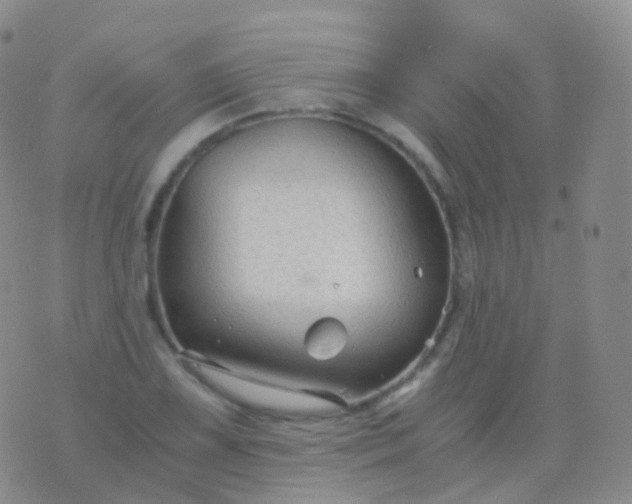 X0000076431075200610202239