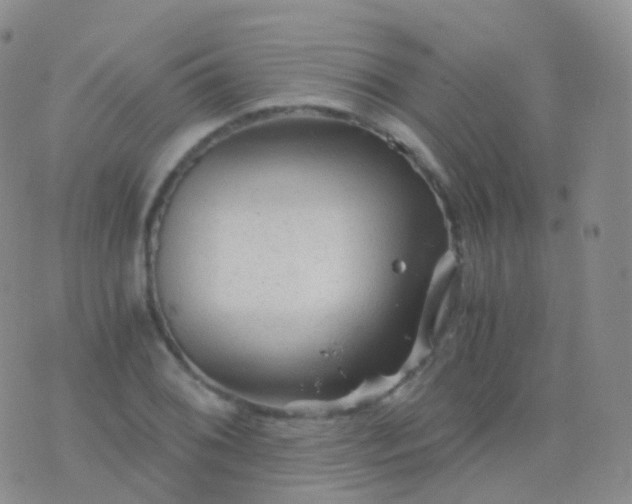 X0000076431076200610202239