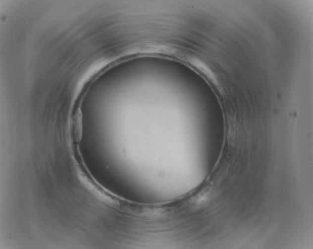 X0000076431080200610202239