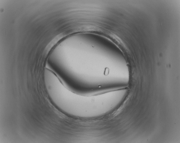 X0000076431081200610202239