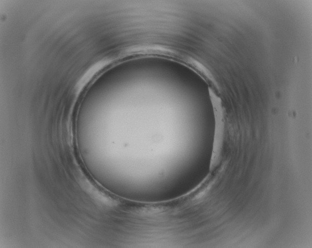 X0000076431082200610202239