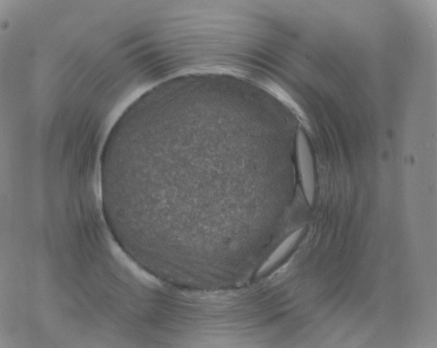 X0000076431084200610202239