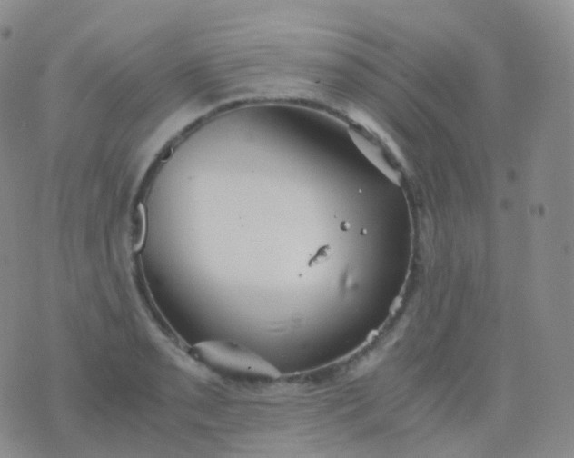 X0000076431085200610202239