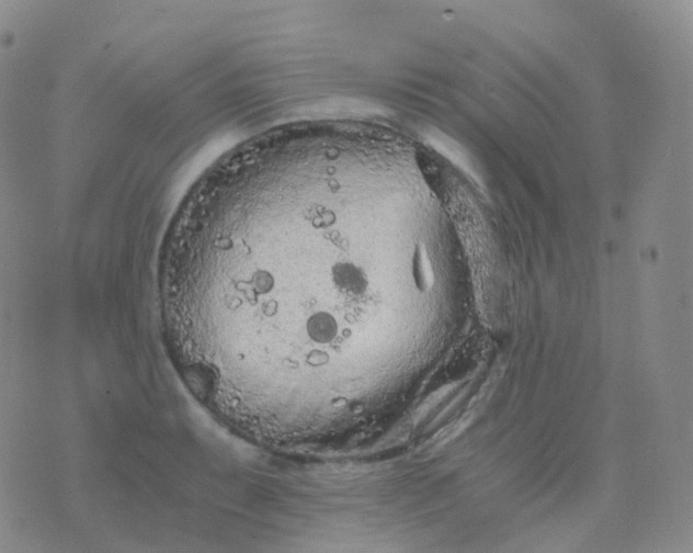 X0000076431087200610202239