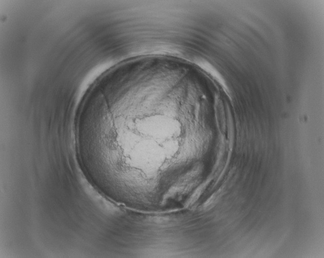 X0000076431088200610202239