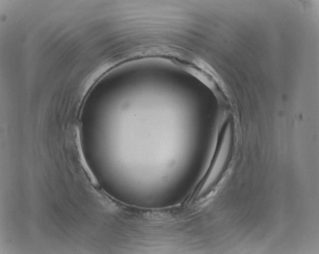 X0000076431089200610202239