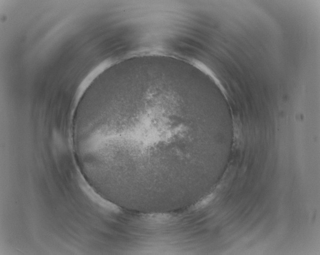 X0000076431090200610202239