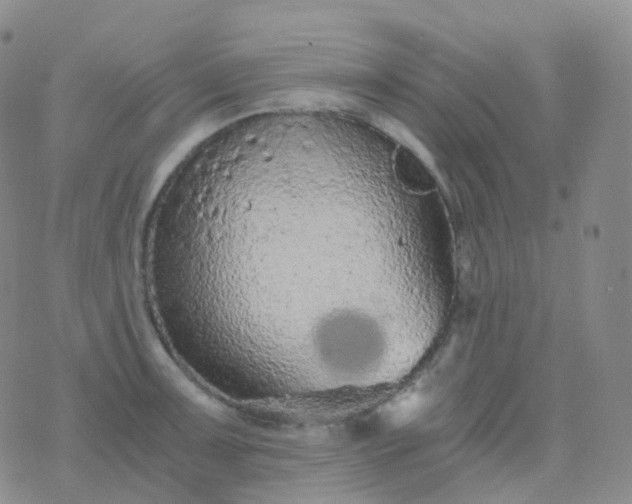 X0000076431091200610202239