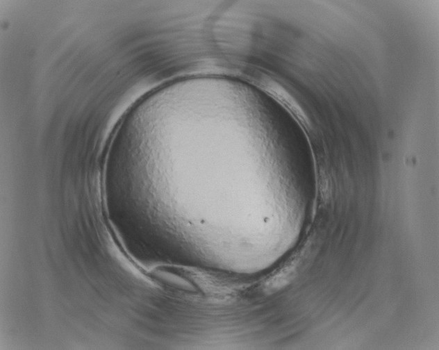 X0000076431092200610202239