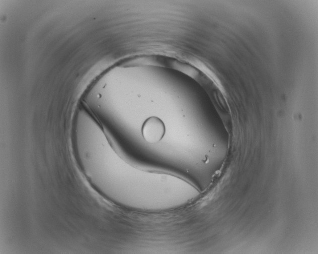 X0000076431093200610202239