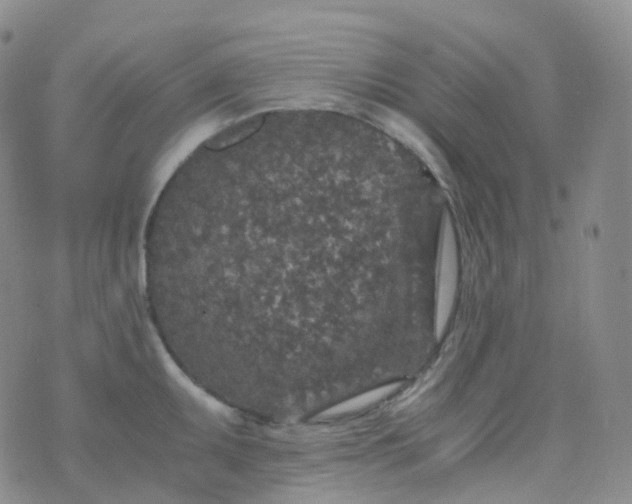 X0000076431095200610202239