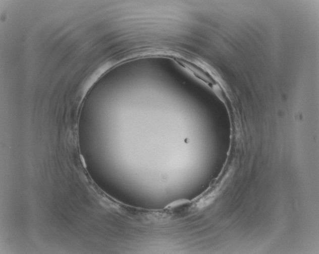 X0000076431097200610202239