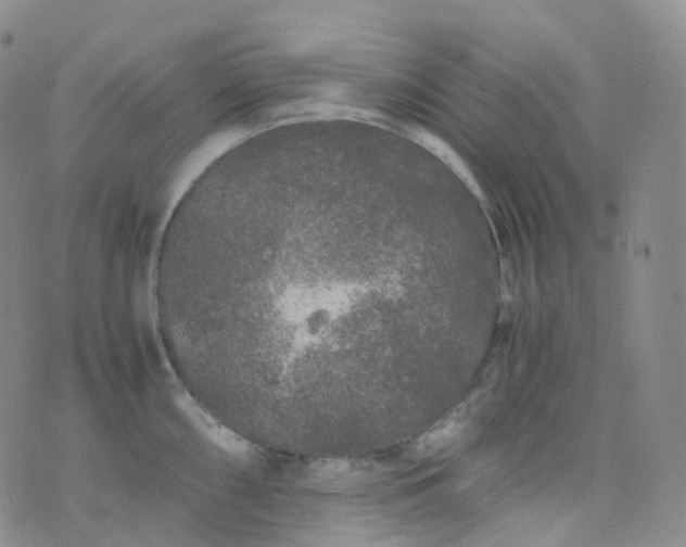 X0000076431098200610202239