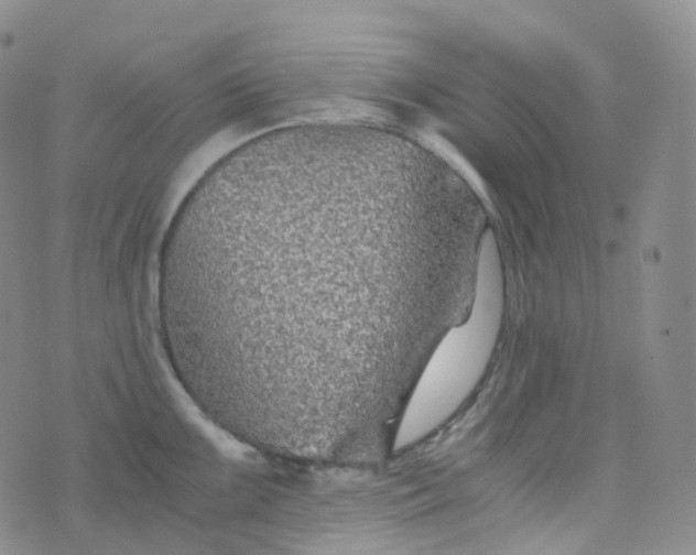 X0000076431099200610202238