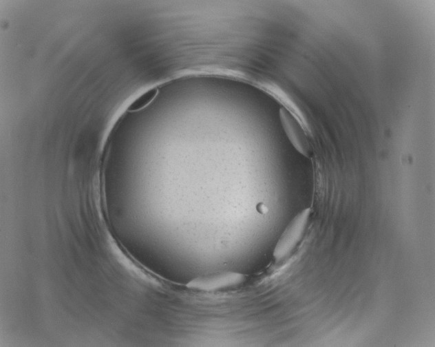 X0000076431100200610202238