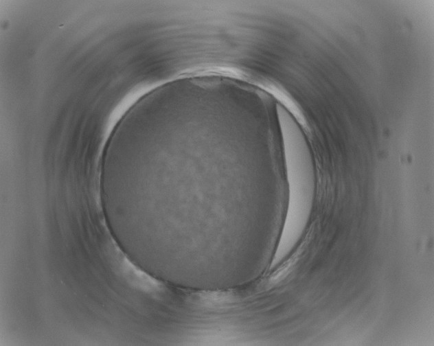 X0000076431102200610202238