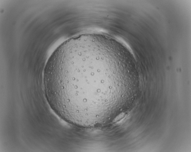 X0000076431103200610202238