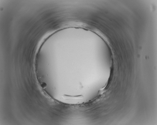 X0000076431104200610202238