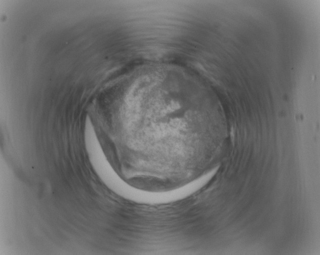 X0000076431106200610202238