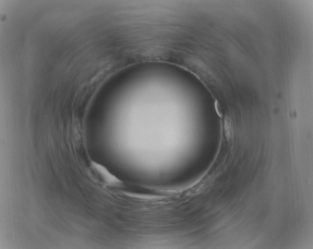 X0000076431107200610202238