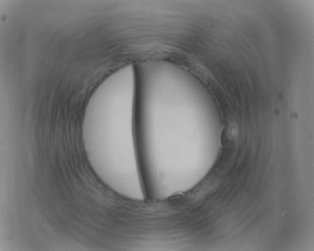 X0000076431108200610202238