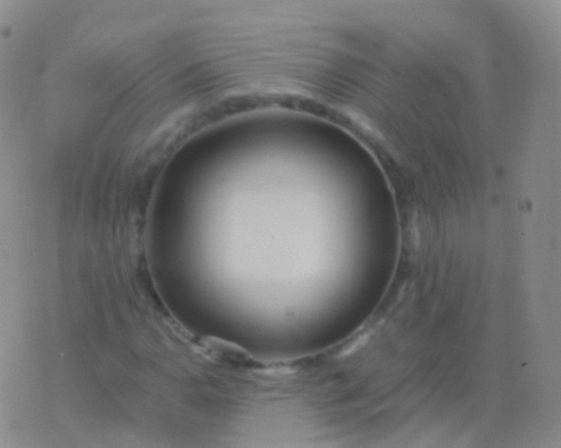 X0000076431110200610202238