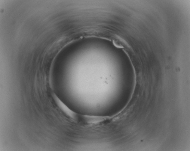 X0000076431111200610202238