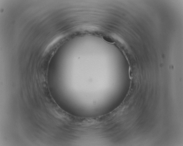 X0000076431112200610202238