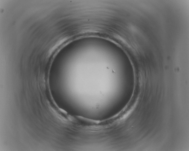 X0000076431113200610202238