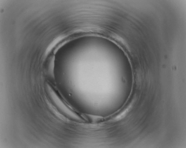 X0000076431114200610202238