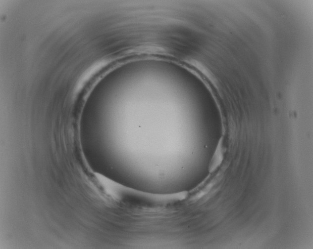 X0000076431115200610202238